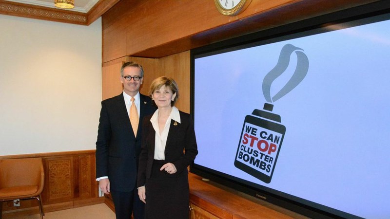 Pleština na sastanku Koordinacijskog odbora Konvencije o kazetnom streljivu u Ženevi